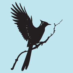 black silhouette of a bird side view isolated