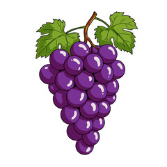 Fototapeta premium A vector illustration of a cluster of purple grapes with green leaves and a stem