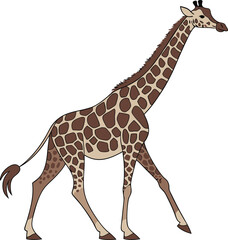 Naklejka premium giraffe isolated on white