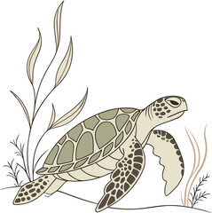 sea turtle vector illustration