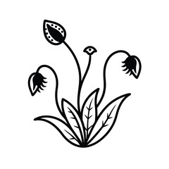 Plants Become Carnivorous