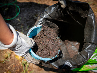  Close-up of a gardener wearing gloves and using a small blue container to scoop moist soil from a black plastic bag during planting work