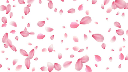 Pink Flower Petal Vector White Background. Romantic Lotus. Abstract triangles and rombs for label, card, poster, cover, leaflet, textile design