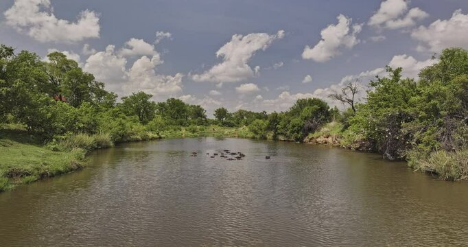 Hwange Park Zimbabwe Aerial v22 flyover Deka River's Crocodile Pools Hide, birds eye view of a bloat of wild hippos swimming in the murky brown waters - Shot with Mavic 3 Pro Cine - Jan 4th 2024