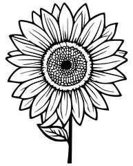 Sunflower Outline Vector Art