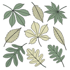 leaves seamless pattern