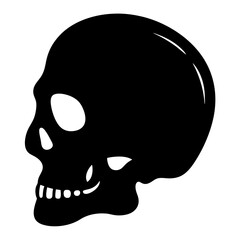 human skull vector illustration