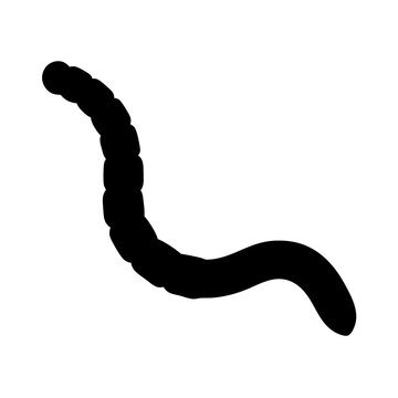 black worm silhouette on white background clip art preview