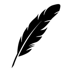 Black and White Silhouette of a Feather with Intricate Details