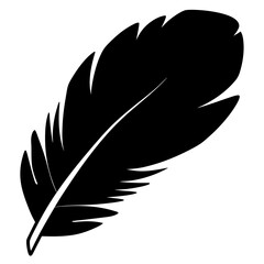 vector illustration of feather