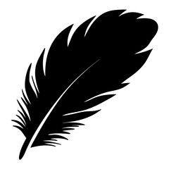 feather vector illustration