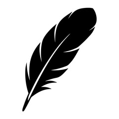 Black and White Silhouette of a Feather with Intricate Details