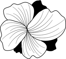 flower petals line art