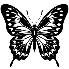 butterfly vector illustration