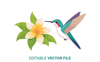 Hummingbird Visiting Flower Editable Vector File, Vibrant Tropical Bird Illustration, Digital Nature Graphic for Design Projects