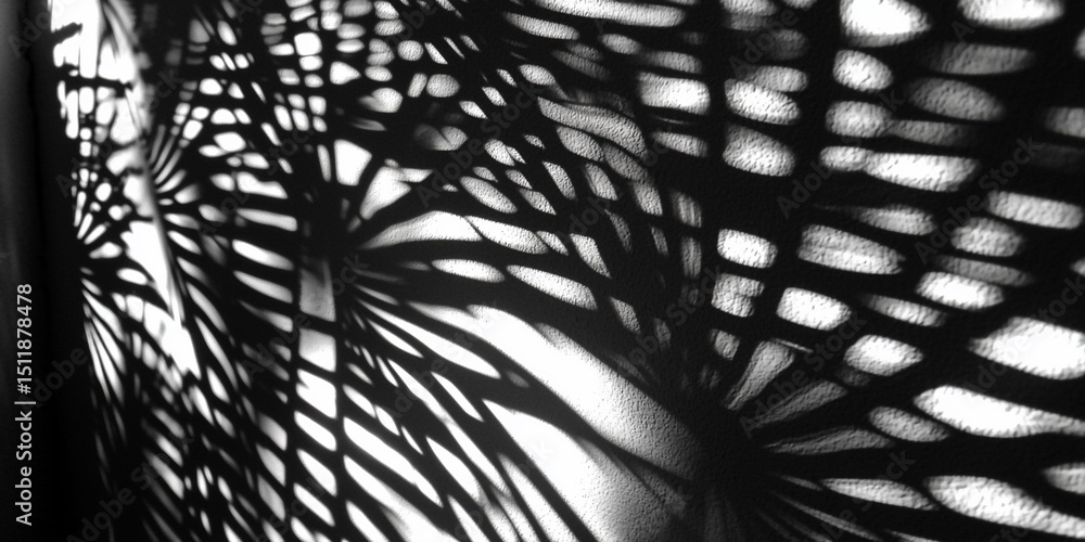 Poster abstract interplay of light and shadow creating organic patterns on textured surface