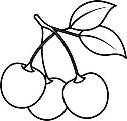 Cherries on Twig Outline Illustration.