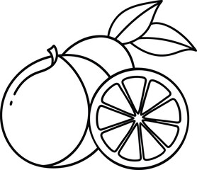 Citrus Fruit Collection Outline Illustration.