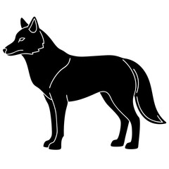 black wolf isolated on white