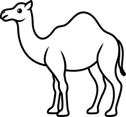 camel cartoon illustration