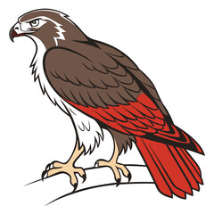 Eagle in Flight vector image