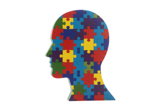 Isolated Jigsaw Puzzle Head Silhouette Colorful