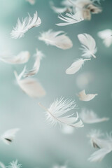 Naklejka premium Gentle white feathers floating over pastel teal surface, forming a dreamy, weightless atmosphere