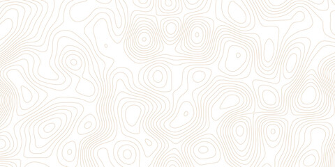 Topographic map lines, contour background, Vector contour topographic map background.