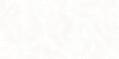 Topographic map lines, contour background, Vector contour topographic map background.