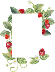 Watercolor illustration of a rectangular frame with juicy strawberries and foliage decorating the corners and sides. Suitable for postcards, invitations, banners, birthday parties, printed products
