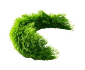 Greenery wave for nature inspired designs and eco themes