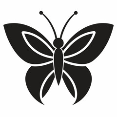 black and white butterfly