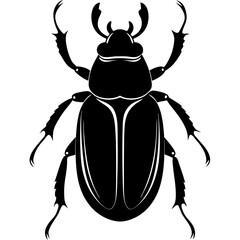 stag beetle vector illustration