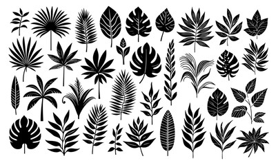Collection of Tropical Leaves Silhouettes Vector Illustration – Minimal Jungle Leaf Clipart Including Palm, Monstera, Banana Leaves for Summer Decor, Nature Designs, Posters, Packaging, and Background