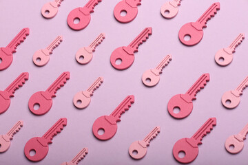 check-lock and different keys on a coloured background, the concept of protection