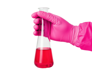Chemistry experiments with pink glove and glass flask on a transparent background, cut out