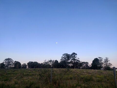 Dusk photo of a field in the countryside with a blue sky with the moon visible