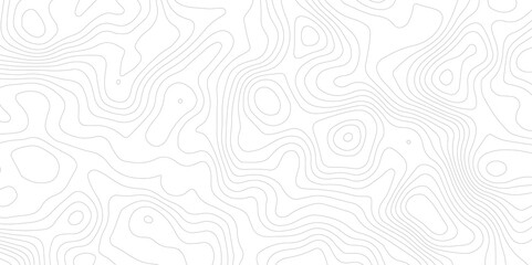 Abstract topography pattern lines sea map area space geometric strip grid line topo map technology modern design white background.	