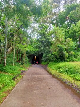 Fernleigh Track, Newcastle, Australia - two bike riders on the concrete riding into a tunnel