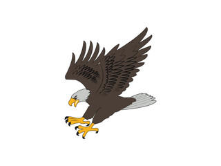 bald eagle in flight graphic design, attack mode eagle vector illustration art