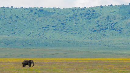 Paisaje del Ngorongoro en Tanzania