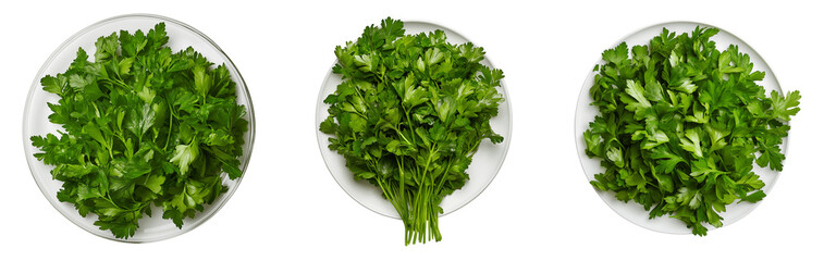 Set of various Plate with parsley, top view isolated on transparent background
