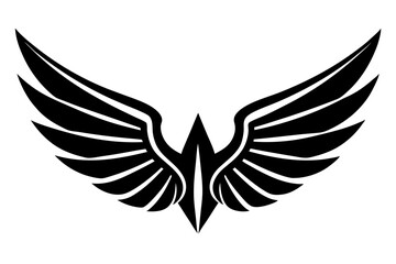 Obraz premium wings silhouette