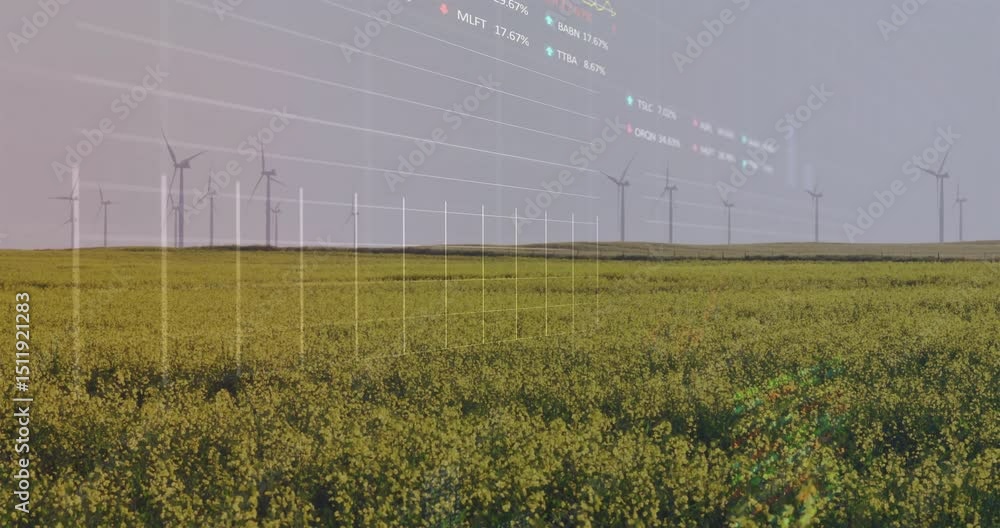 Poster yellow crop field holding still before grid appearing, curve growing with points showing wind data