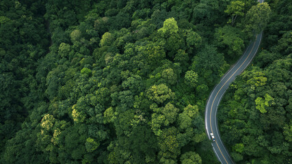 Top view road in beautiful autumn forest at sunset, trees with red and orange leaves , Beautiful landscape view from flying drone in Nature
