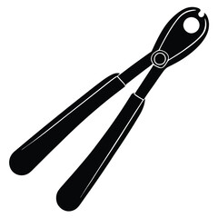 Tongs on White Background