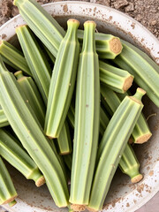 Fototapeta premium okra