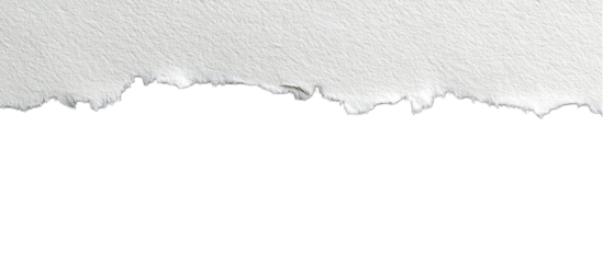 Ripped paper edge graphic (1)
