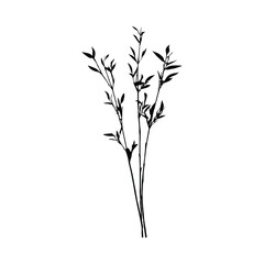 Obraz premium Elegant bamboo silhouette botanical illustration