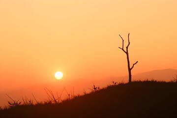 Silhouette of a barren tree on a hill at sunset, with a vibrant orange sky. The sun is near the horizon, casting a serene and tranquil mood